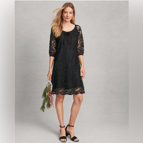 GARNET HILL Easy Lace Dress - Picture 1 of 11
